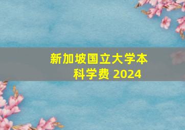 新加坡国立大学本科学费 2024